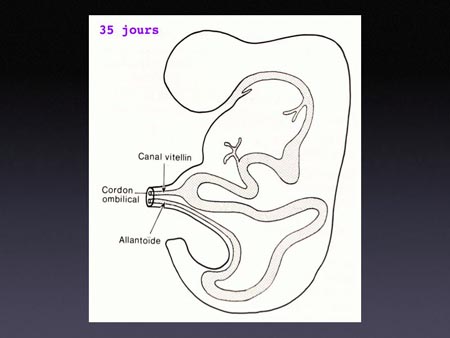 2eme inf.062